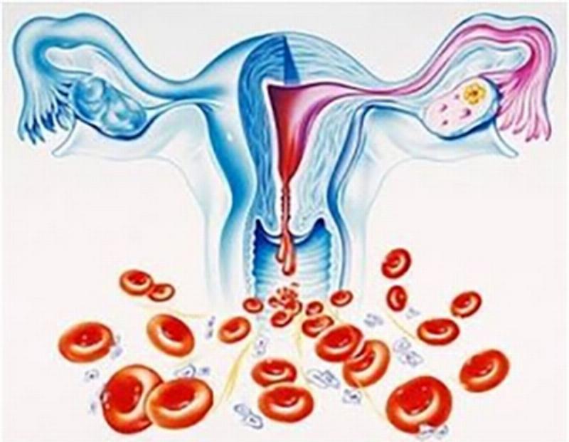 Hình ảnh minh họa tác động của rong kinh đến cuộc sống hàng ngày